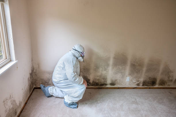 Best Dehumidification Services  in Davenport, IA